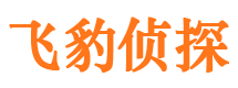 汾阳外遇出轨调查取证